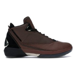 Air Jordan 22 Retro Pluto
